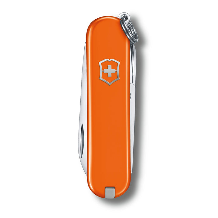 Victorinox small pocket knife Classic with scissors 5.8cm