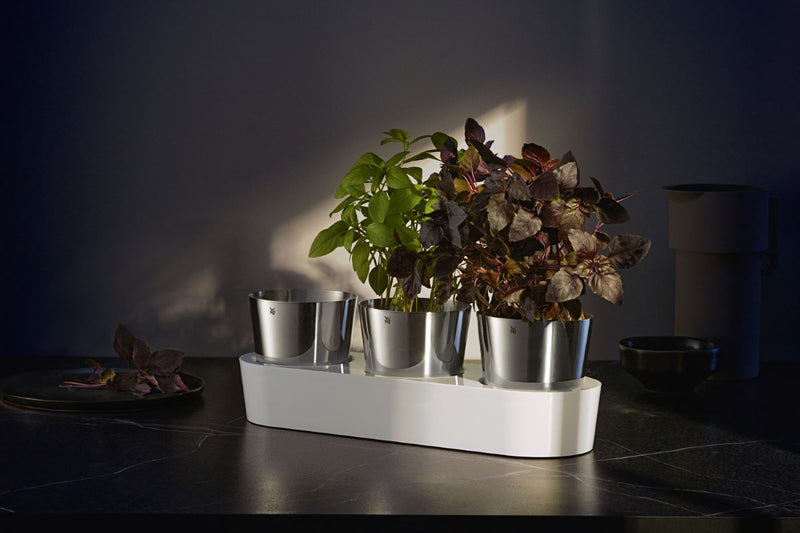 WMF Gourmet Indoor Kräutergarten, 3-teilig