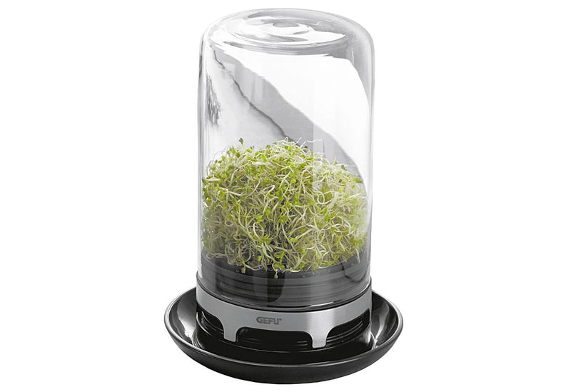 Gefu Sprossenglas Bivita 20cm