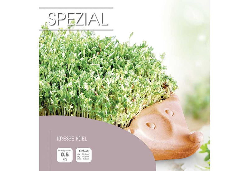 Römertopf cress hedgehog