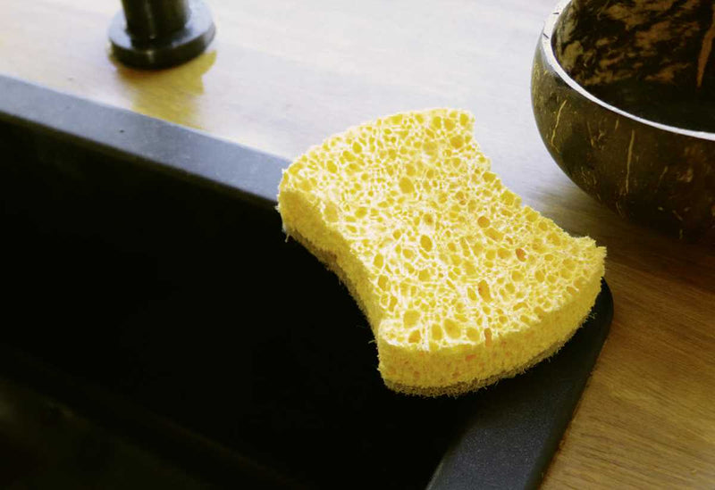 Pandoo Haushaltsschwamm 2er Set