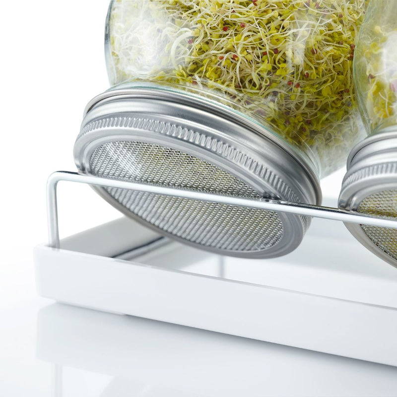 Westmark Sprossenglas-Set, 2 Gläser, 950 ml