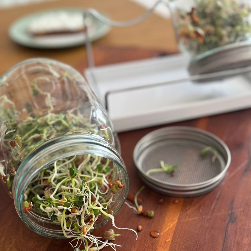 Westmark Sprossenglas-Set, 2 Gläser, 950 ml