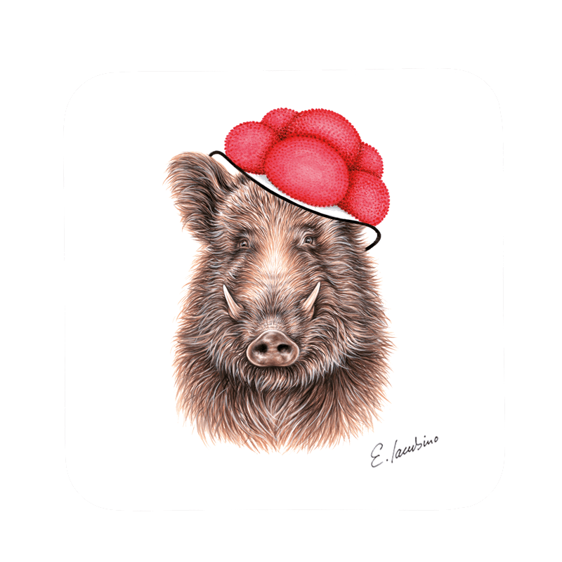 Black Forest coaster 9×9cm