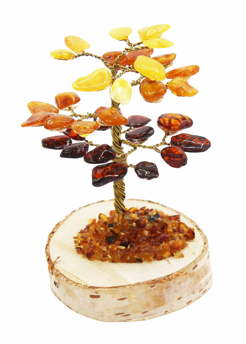 Amber Tree