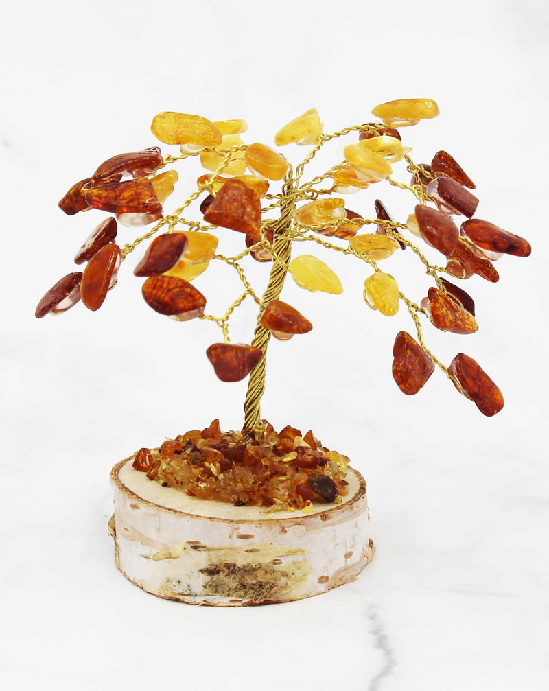 Amber Tree