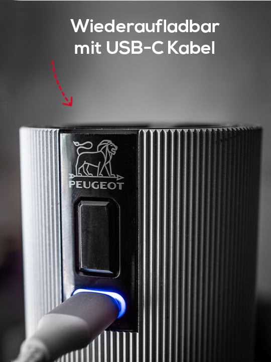 Peugeot Line Salzmühle elektrisch