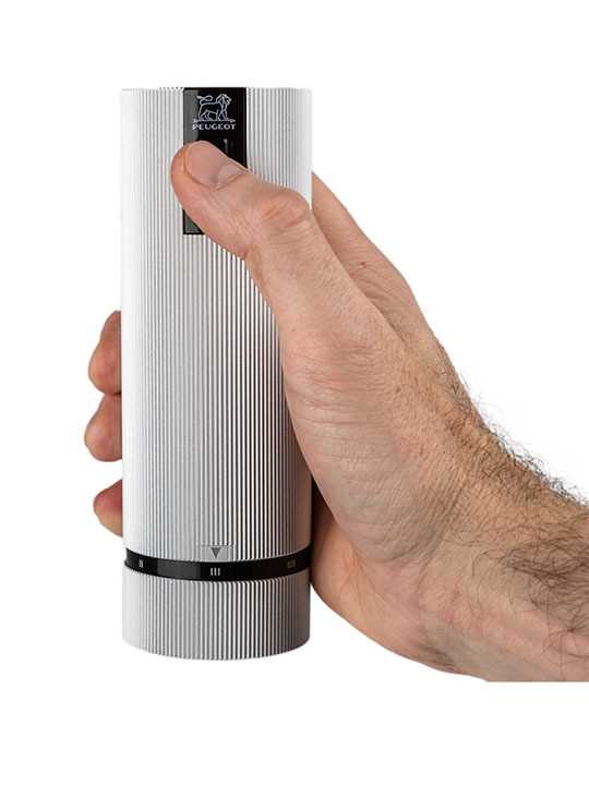 Peugeot Line Salzmühle elektrisch