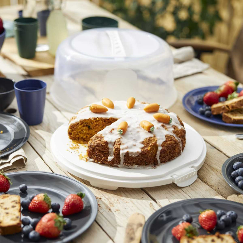 Rotho Transportbox Torte Tortenglocke Fresh