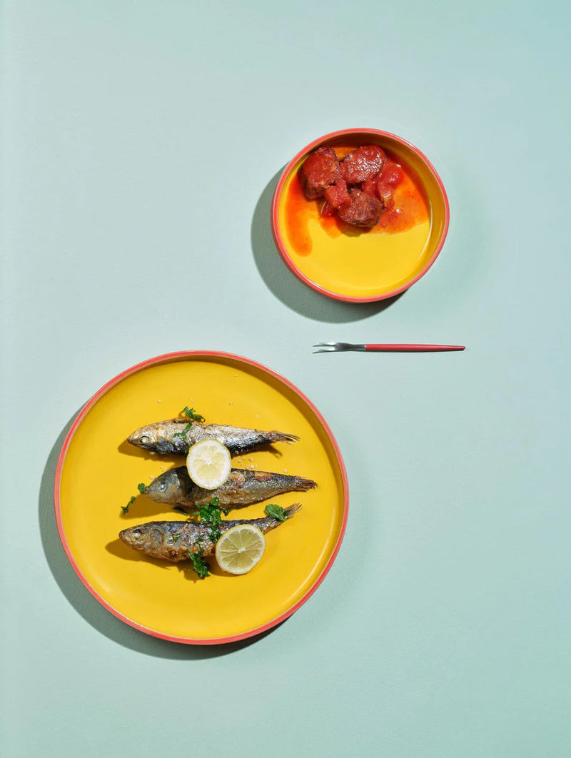 ASA Tapero Viva, Teller 24cm