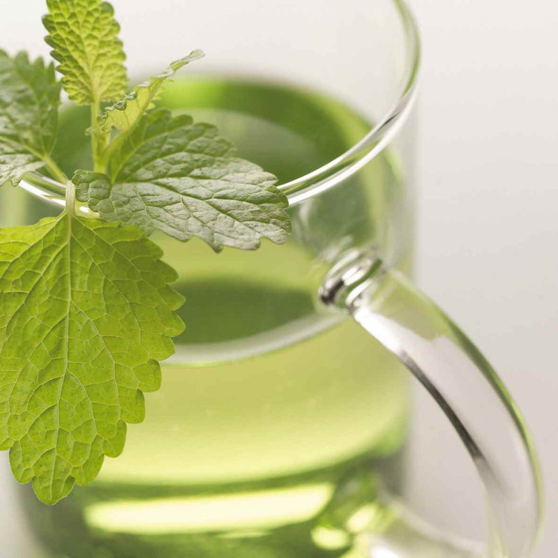 Leonardo Teeglas Novo