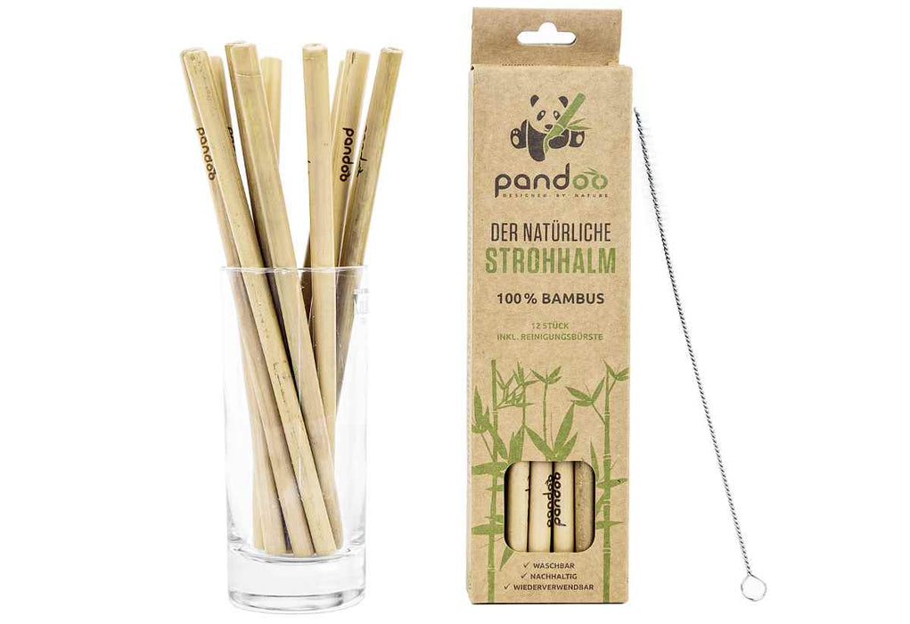 Pandoo bamboo straws with brush