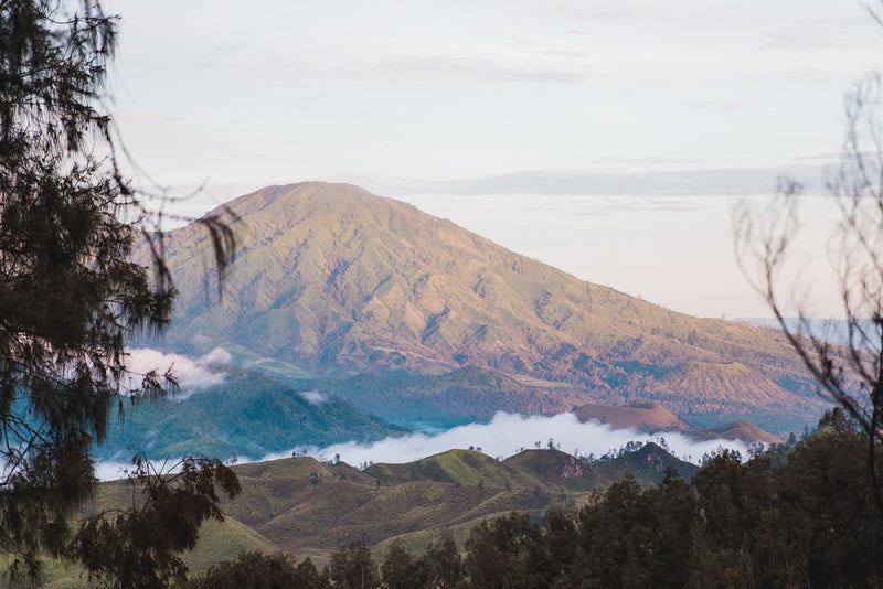 Schwarzwald Kochbuch