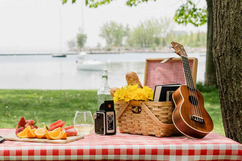 Cilio Picknickkorb AROLO für 2 Personen, 40 x 28 x 18cm